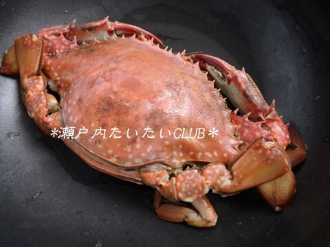 ワタリガニのゆで方と捌き方 レシピ 作り方 By 瀬戸内たいたいclub 楽天レシピ ワタリガニのゆで方と捌き方 レシピ 作り方 By 瀬戸内たいたいclub 楽天レシピ